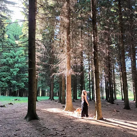 Lejlighed Aleksandra 2 2 Sokobanja