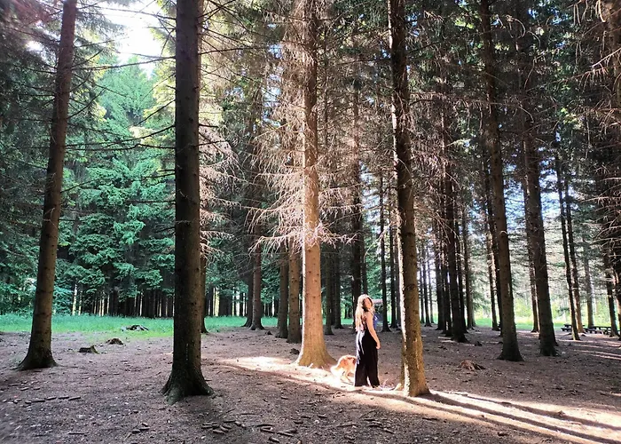 Lejlighed Aleksandra 2 2 Sokobanja